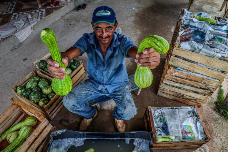 mato-grosso-sanciona-leis-para-fortalecer-a-agricultura-familiar