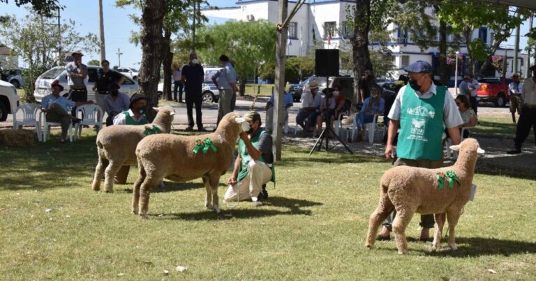 genetica-e-negocios-vao-agitar-pistas-de-bage-durante-a-agrovino