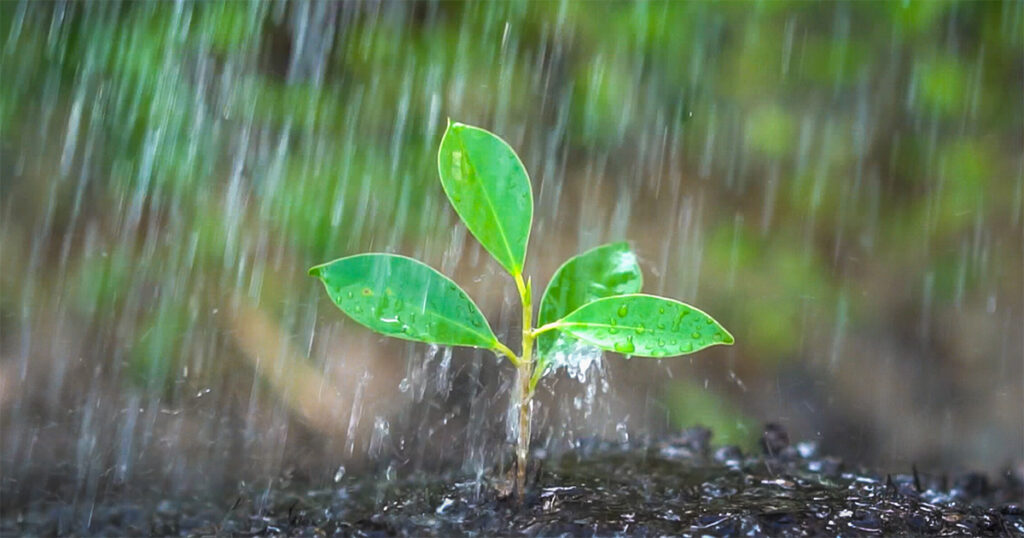 inteligencia-climatica-direciona-acoes-no-campo