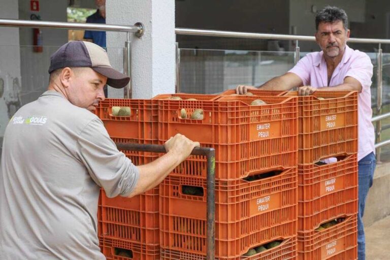 organizacao-recebe-250-caixas-de-pequi-para-banco-de-alimentos