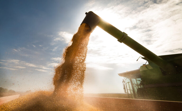 plano-safra-recorde-e-os-reflexos-para-a-agropecuaria-brasileira