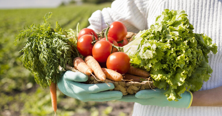 apesar-de-ser-maioria-no-agronegocio-brasil,-agricultura-familiar-sofre-desafios,-como-a-baixa-renda-dos-trabalhadores