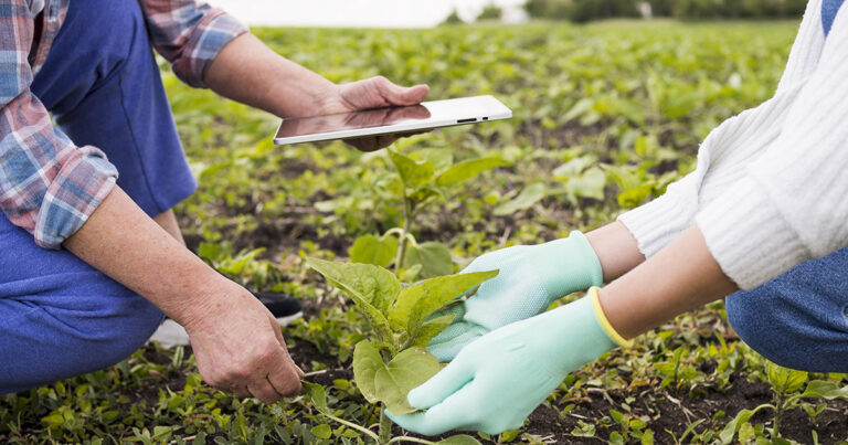 bioinsumos-e-agricultura-digital-promovem-sustentabilidade-sem-afetar-produtividade