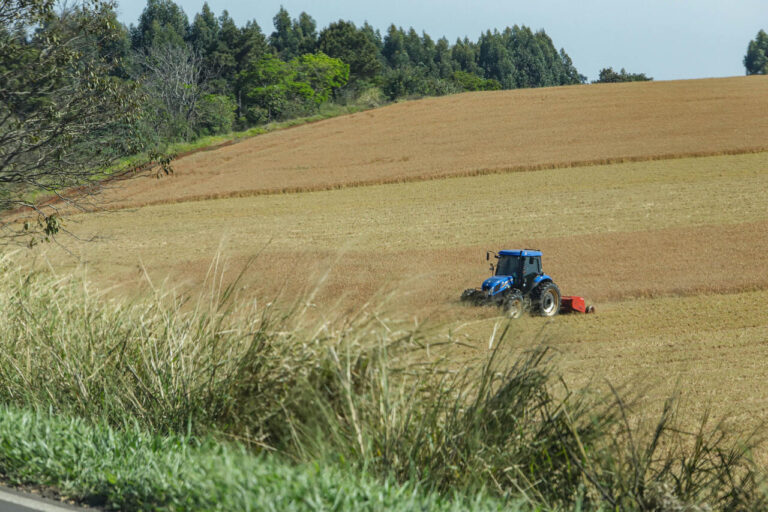 impacto-do-clima-na-safra-exige-ajuste-de-precos-para-garantir-renda-ao-agricultor