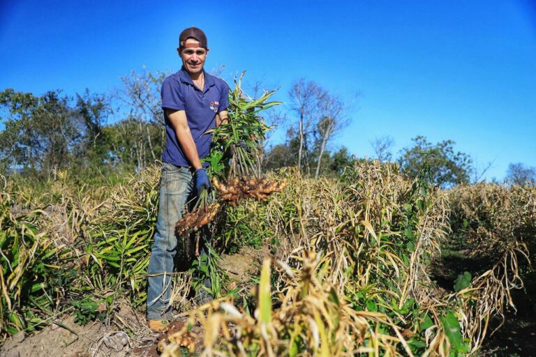 pr-seleciona-34-profissionais-em-programa-de-residencia-em-economia-rural