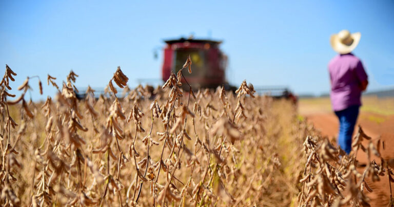 biond-agro-preve-reducao-de-quatro-milhoes-de-toneladas-na-safra-de-soja-23/24