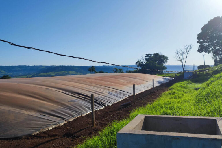 parana-apoia-geracao-de-energia-renovavel-no-campo-e-vira-referencia-internacional