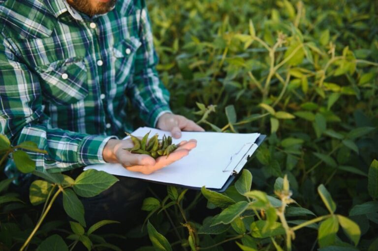 calendario-agricola-2024:-tudo-o-que-voce-precisa-saber-para-se-preparar