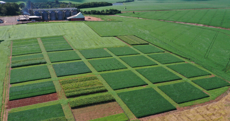 coonecta-agro-cotriba-promove-a-conexao-entre-inovacao-e-agricultura