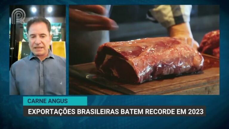 brasil-bate-recorde-de-exportacao-de-carne-angus