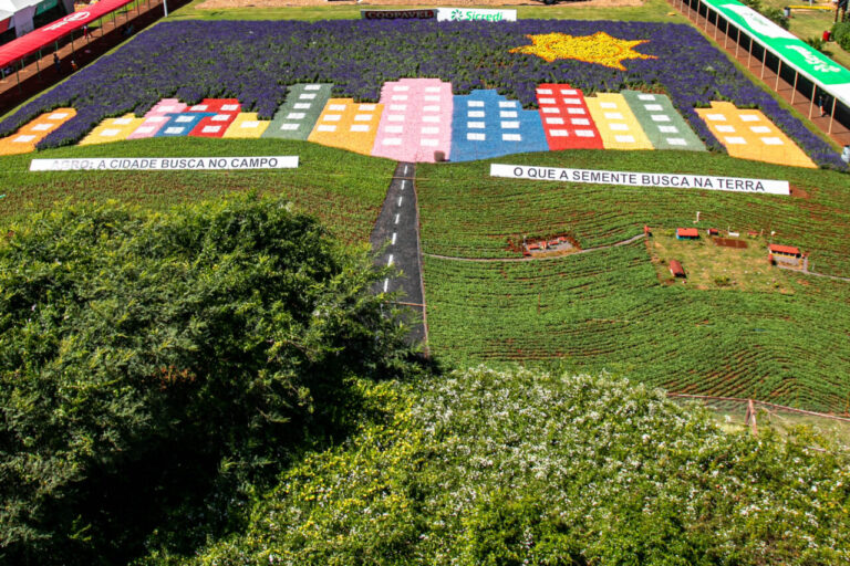 mapa-mostra-o-agro-como-fonte-de-integracao-do-campo-e-cidade