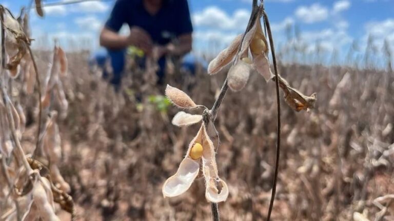 acompanhe-os-principais-eventos-de-hoje-no-agronegocio