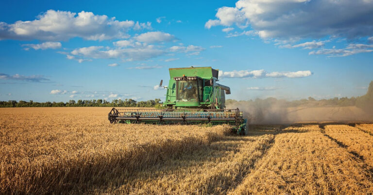 entenda-os-impactos-do-el-nino-no-agro-e-como-isso-afeta-a-cadeia-da-seguranca-financeira