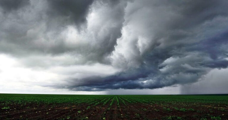 boletim-de-monitoramento-agricola-destaca-o-impacto-nas-lavouras-dos-altos-volumes-de-chuva-no-sul-do-pais