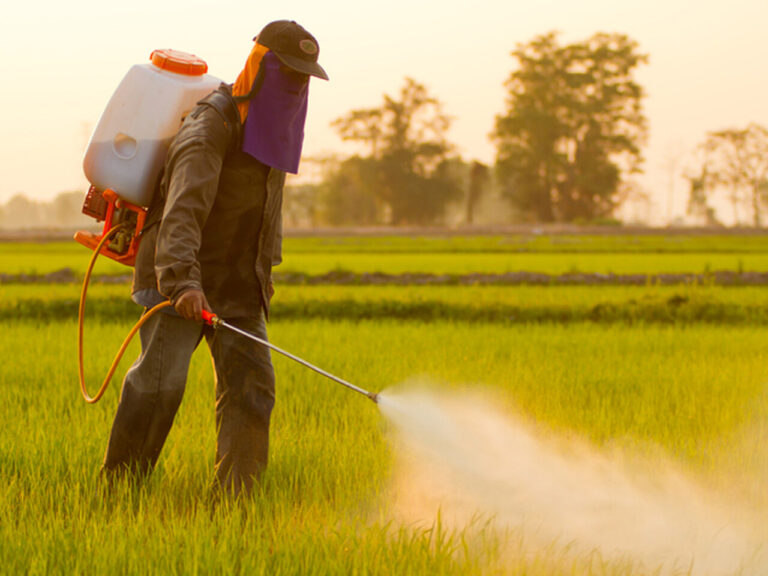 fpa-define-prioridades-para-2024;-primeira-e-a-derrubada-de-vetos-a-lei-de-pesticidas