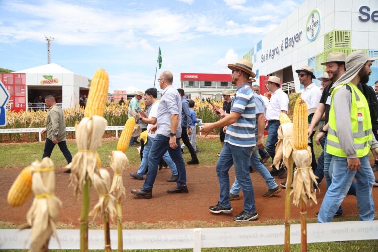 parana-busca-ampliacao-do-uso-do-biogas-e-biometano