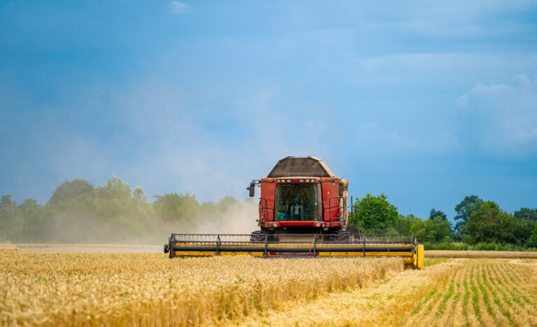 aplicacao-do-credito-rural-chega-a-r$-270-bilhoes-em-sete-meses-do-plano-safra