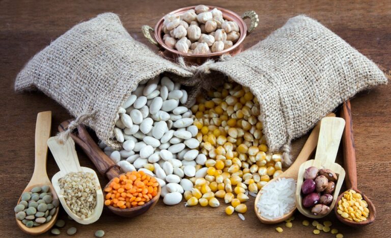 pulses:-confira-a-importancia-das-fiscalizacoes-de-graos-ricos-em-proteinas