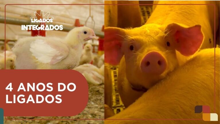 ligados-e-integrados:-4-anos-conectando-o-campo-a-mesa-com-informacao-de-qualidade