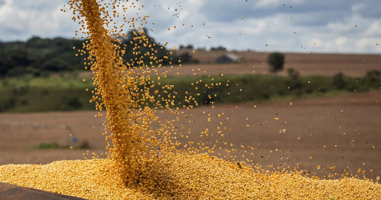 produtor-rural-segue-apostando-em-cultivares-com-biotecnologia-para-incrementar-a-produtividade-da-safra-2023/24-de-soja