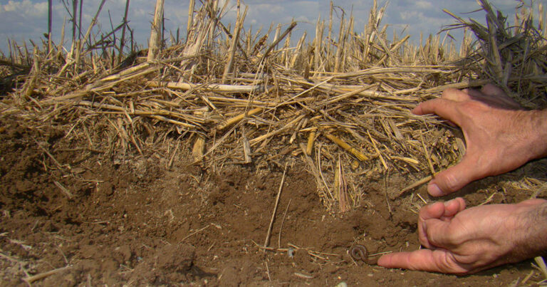 conservacao-do-solo-ajuda-a-otimizar-o-gerenciamento-da-agua-na-agricultura