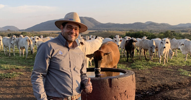 gado-e-mais-produtivo-quando-tem-agua-no-bebedouro