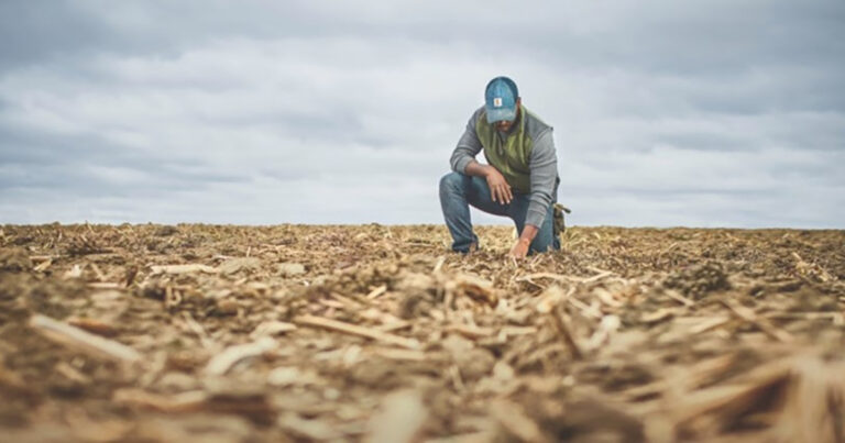 mais-de-70%-dos-agricultores-ja-observaram-impactos-das-mudancas-climaticas-em-suas-fazendas,-revela-pesquisa-global-em-8-paises