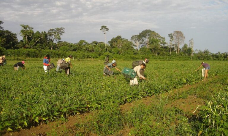 comissao-aprova-projeto-que-moderniza-a-politica-nacional-da-agricultura-familiar