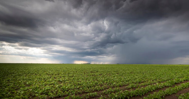 intensidade-do-el-nino-impacta-o-agro-brasileiro