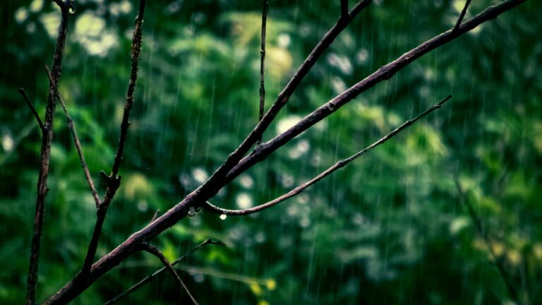 sequencia-de-dias-com-risco-de-chuva-e-temporais-no-sul-do-brasil