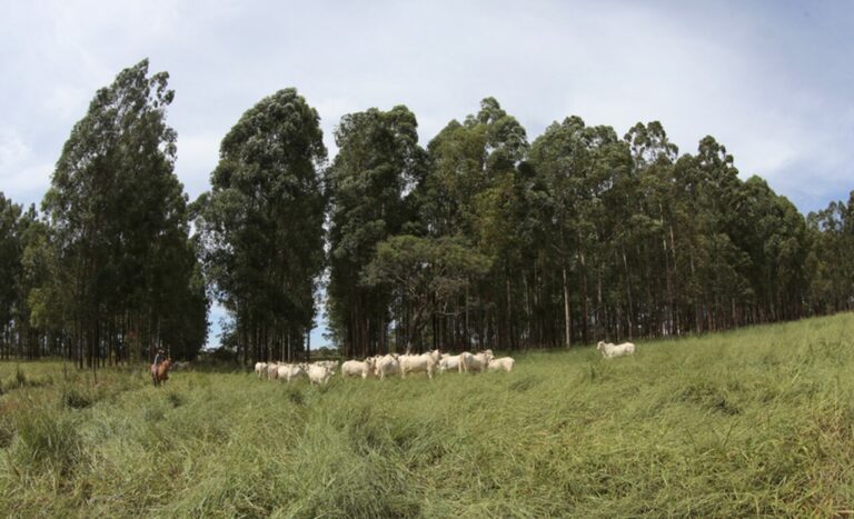 fomento-da-sustentabilidade-esta-entre-as-prioridades-do-gt-da-agricultura