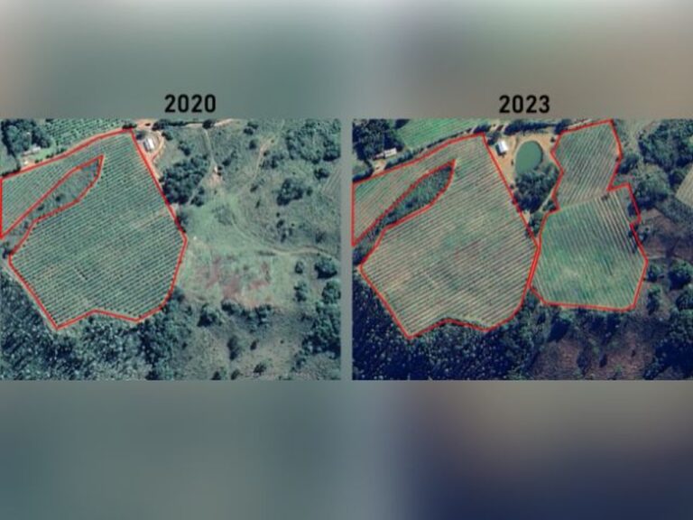 area-plantada-com-maca-na-serra-catarinense-cresceu-16%-nos-ultimos-tres-anos