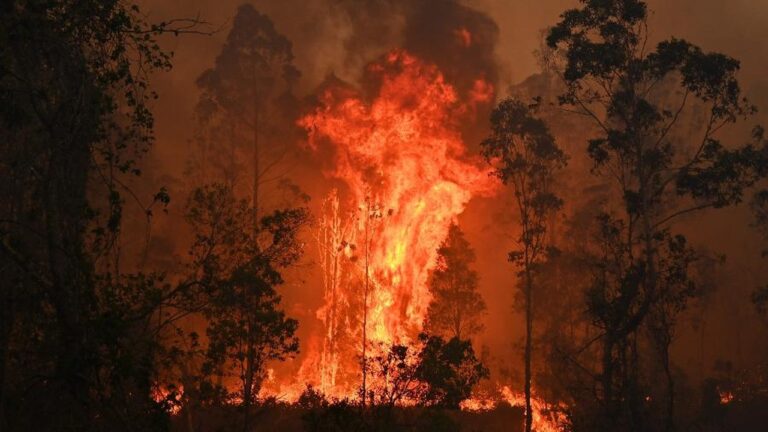 milhares-saem-de-casa-na-australia-por-ameacas-de-incendio