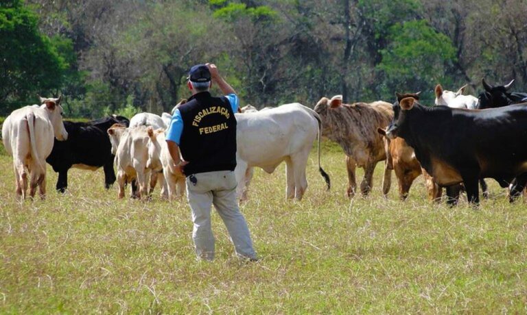 autoridades-discutem-reestruturacao-de-carreiras-da-defesa-agropecuaria