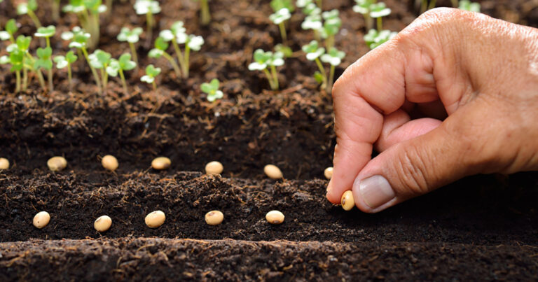 bayer-destaca-suas-solucoes-inovadoras-em-sementes,-protecao-de-cultivos,-ferramentas-digitais-e-novos-modelos-de-negocio-a-expodireto-cotrijal