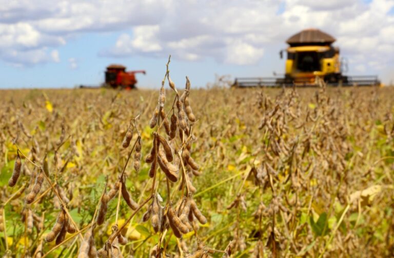 produtores-podem-contar-com-solucoes-geneticas-para-reduzir-nematoides-nas-lavouras-de-soja