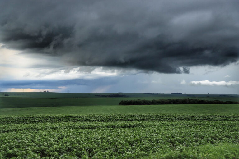 fevereiro-foi-marcado-por-chuvas-estaveis-e-temperaturas-altas,-indica-boletim-do-idr-parana