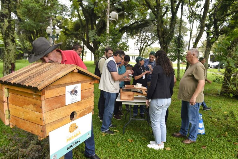 servidores-de-orgaos-publicos-sao-capacitados-para-cuidar-de-colmeias