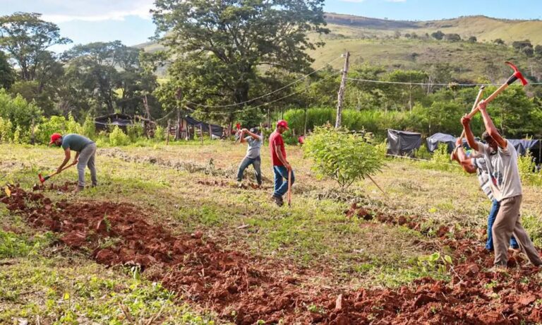 justica-nega-reintegracao-em-fazenda-ocupada-pelo-mst-em-mg