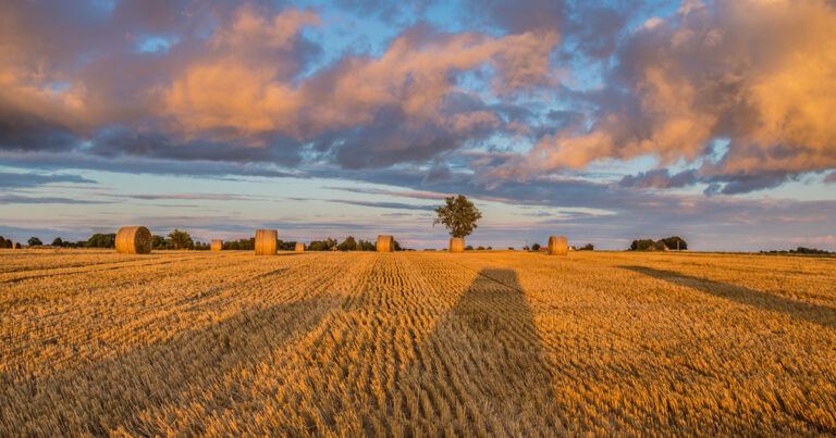 como-as-mudancas-climaticas-afetam-praticas-agricolas