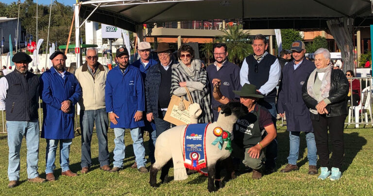 expointer:-primeiro-dia-de-julgamentos-demonstra-potencial-genetico-do-rebanho-ovino-brasileiro