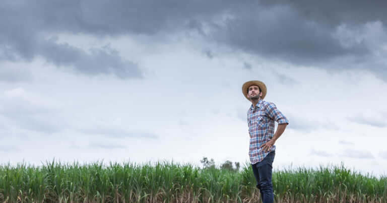 tecnologia-pode-ajudar-o-agro-a-prever-o-clima-e-tomar-decisoes-assertivas-entre-as-safras