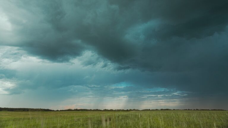 chuva-em-excesso-deve-paralisar-colheita-de-soja-em-estados-do-sul-e-nordeste