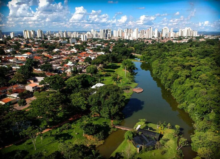 onu-reconhece-goiania-como-“cidade-arvore-do-mundo”