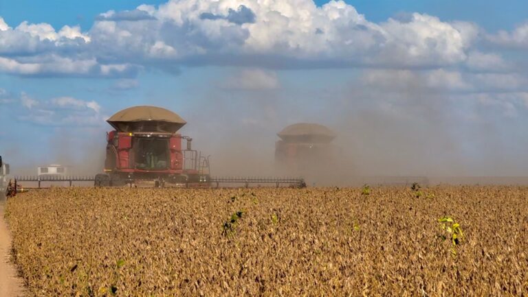 agronegocio-fecha-2023-com-21%-de-participacao-na-economia-baiana