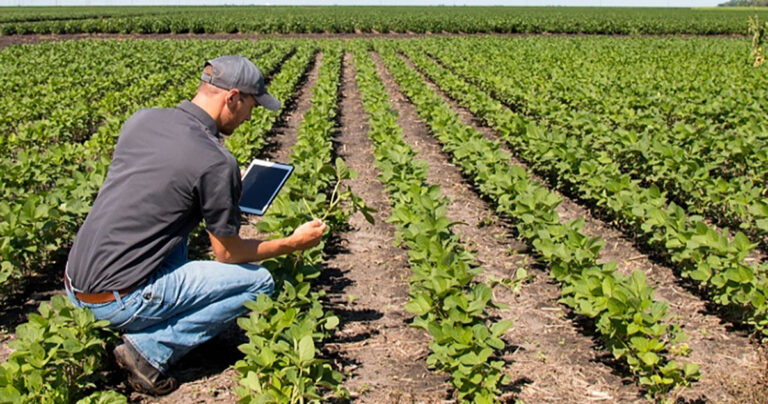 plataforma-educativa-gratuita-dissemina-conhecimento-sobre-tecnologias-na-producao-rural