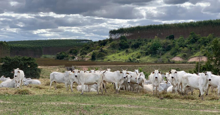 proposta-de-politica-publica-nacional-e-individual-de-rastreabilidade-bovina-e-entregue-oficialmente-ao-ministerio-da-agricultura