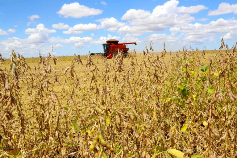 produtores-de-soja-e-milho-poderao-prorrogar-parcelas-de-investimento-agricola