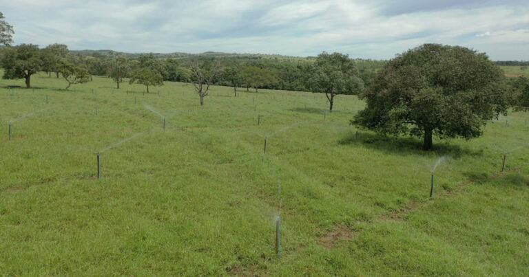 industria-destina-agua-residual-para-irrigacao-de-pasto