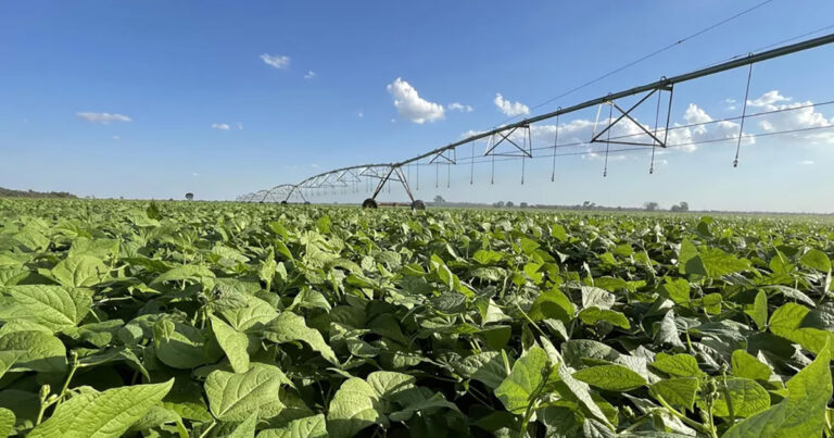 cinco-motivos-que-fazem-da-agricultura-irrigada-uma-atividade-sustentavel